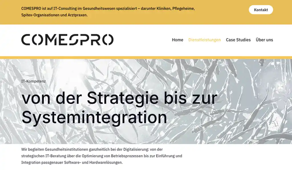 Website für IT-Unternehmen